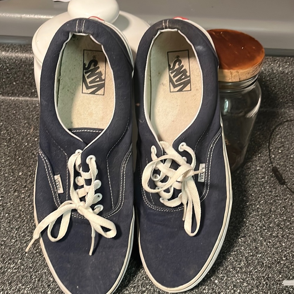 VANS SKATE CHUKKA LOW SHOE